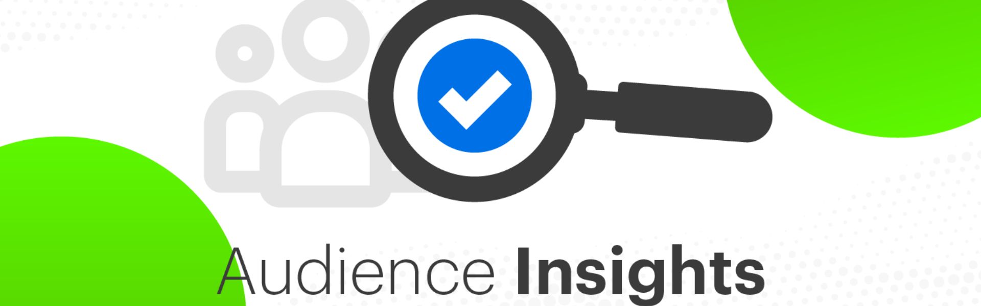 The Essence of Audience Insights